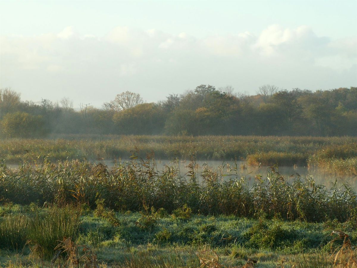 RIBA Somerset & Somerset Wildlife Trust: Habitat Recovery Talk and Walk