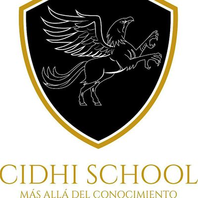 CIDHI SCHOOL ACADEMY