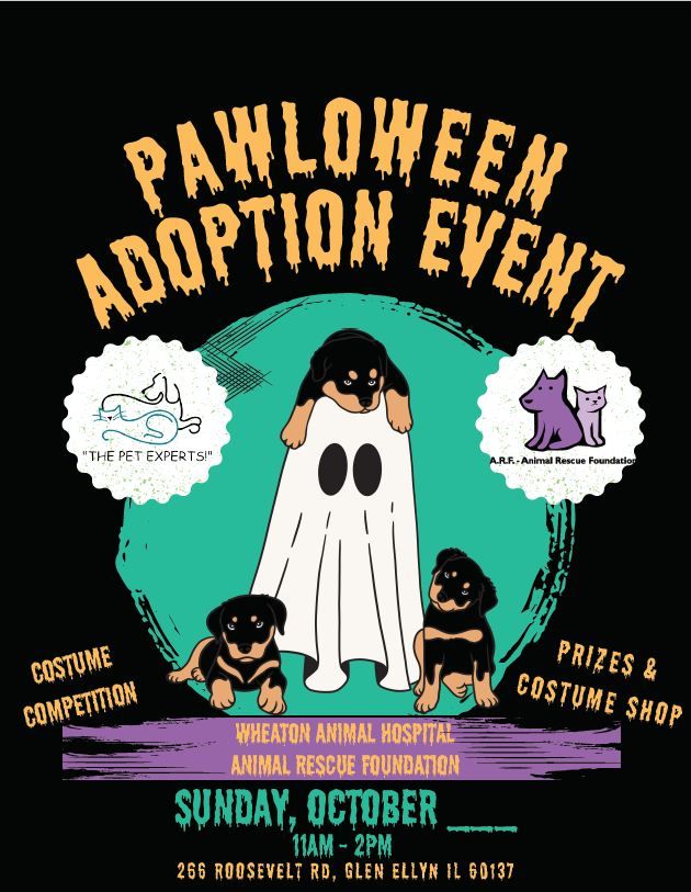 Pawloween Adoption Event