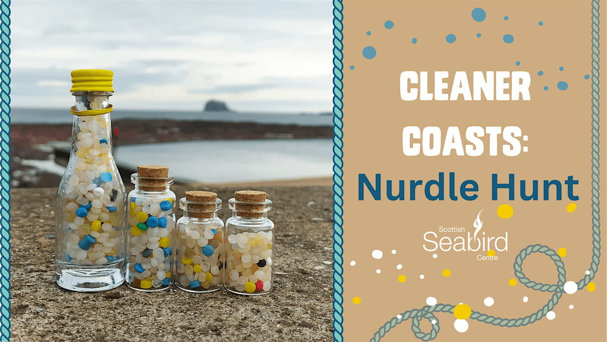 Cleaner Coasts: Nurdle Hunt