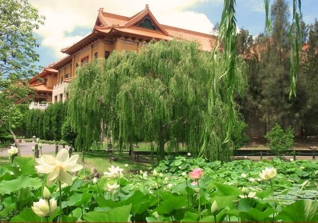 Bus Trip to Nan Tien Temple, Wollongong