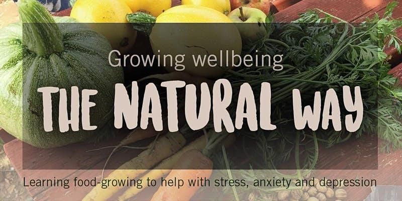 MindFood: Growing Wellbeing - FREE 6 session course (nr Perivale tube)