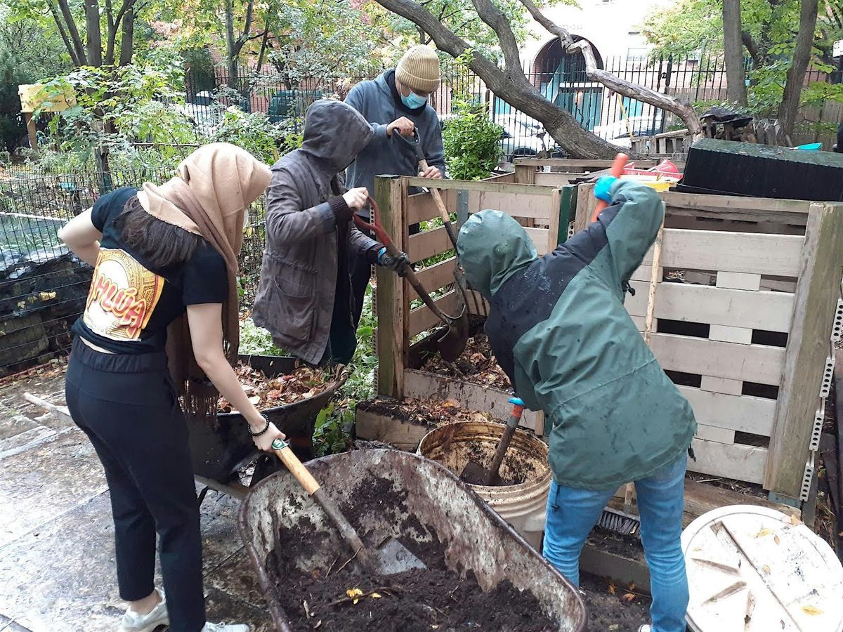 Green Oasis Garden Volunteer Day