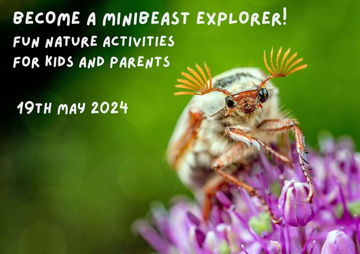 BECOME A MINIBEAST EXPLORER! Fun Nature Activities for Kids and Parents