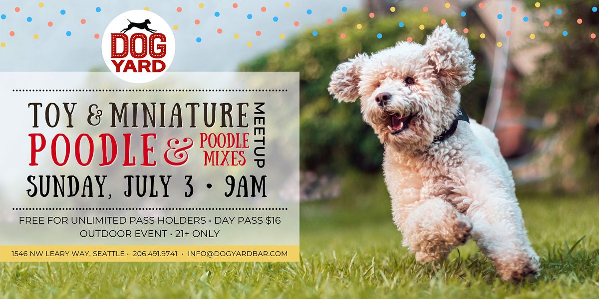 Toy Poodle & Mixes Meetup at the Dog Yard Bar in Ballard