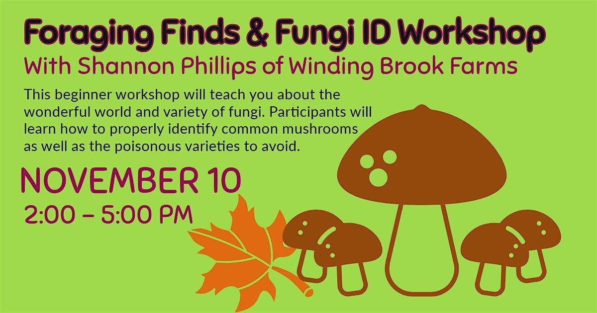 Foraging Finds & Fungi  ID Workshop