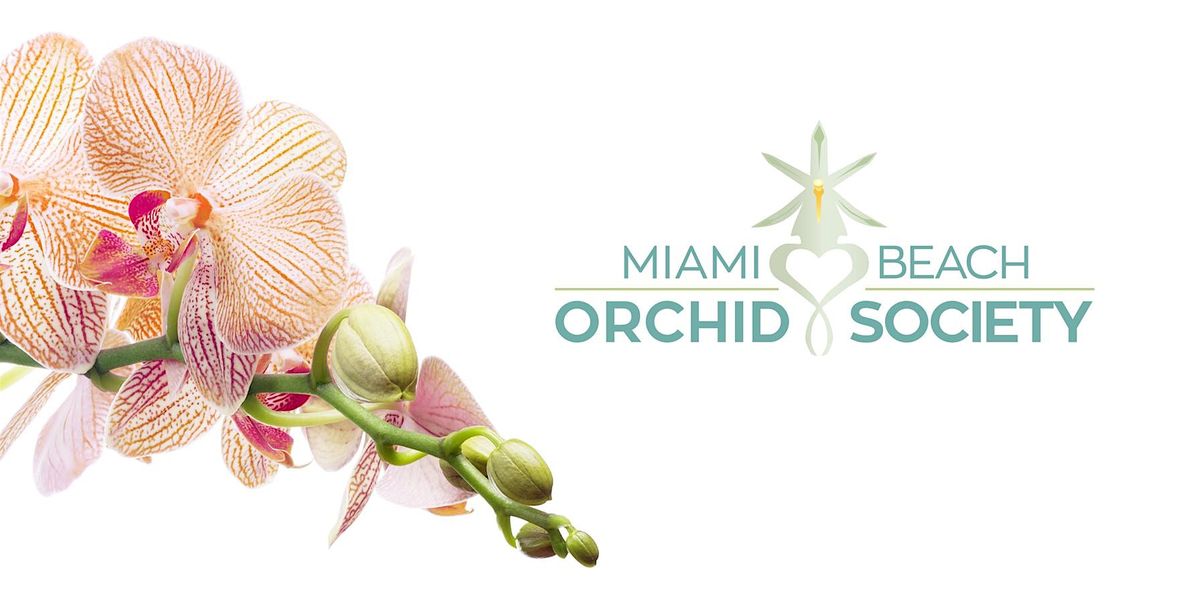 Miami Beach Orchid Society Monthly Meeting