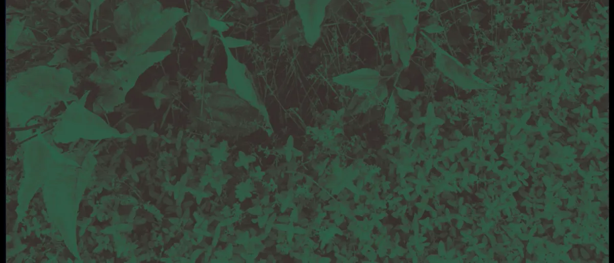 Basia Bulat in Shawinigan