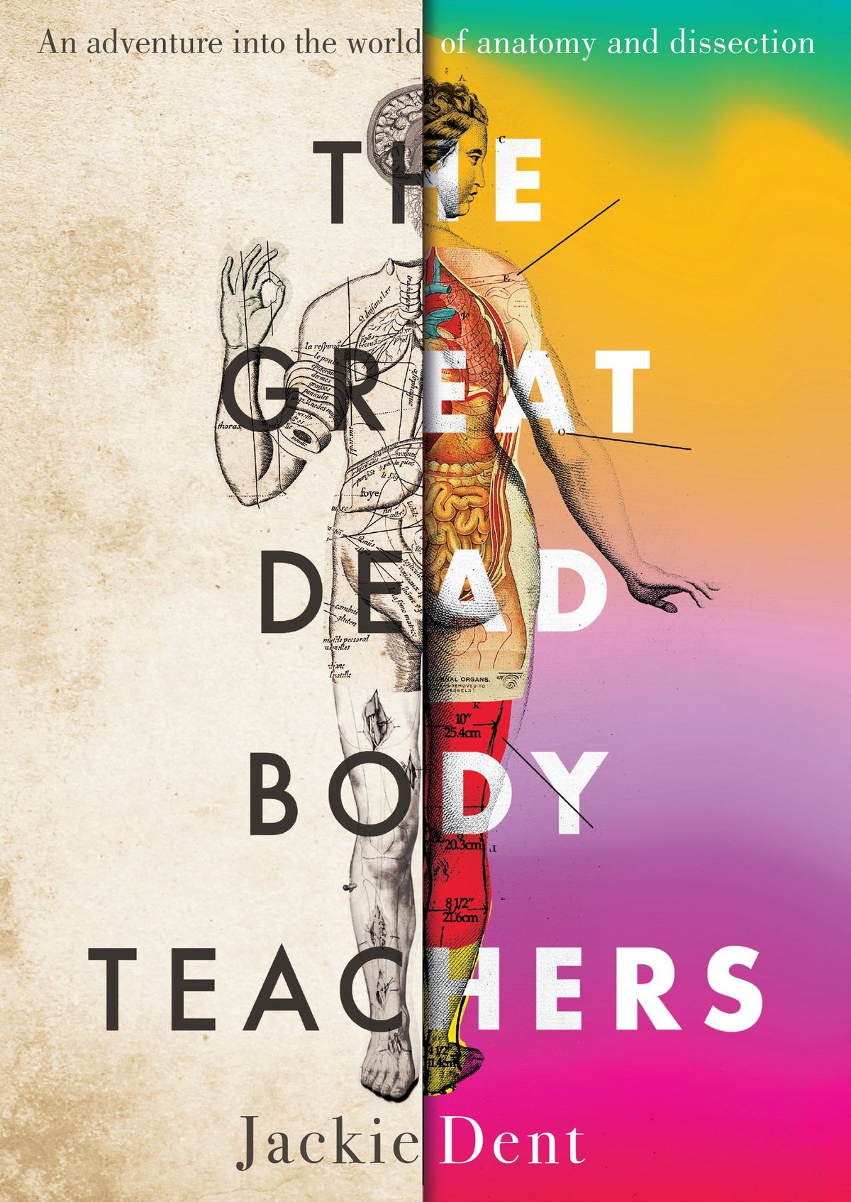 Uncovering The Dissected: Tales of the Dead Who Shaped Anatomy