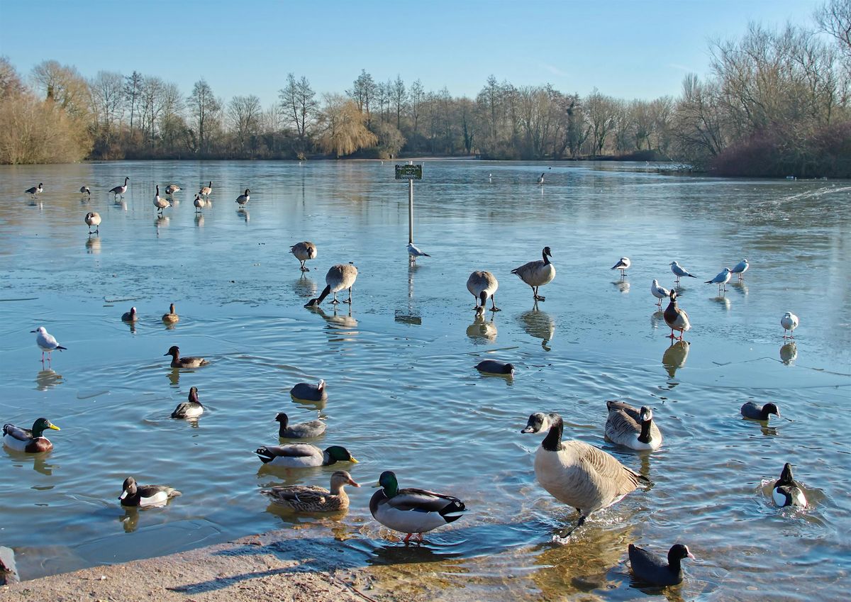 Nature Discovery Centre Bird Walk - October