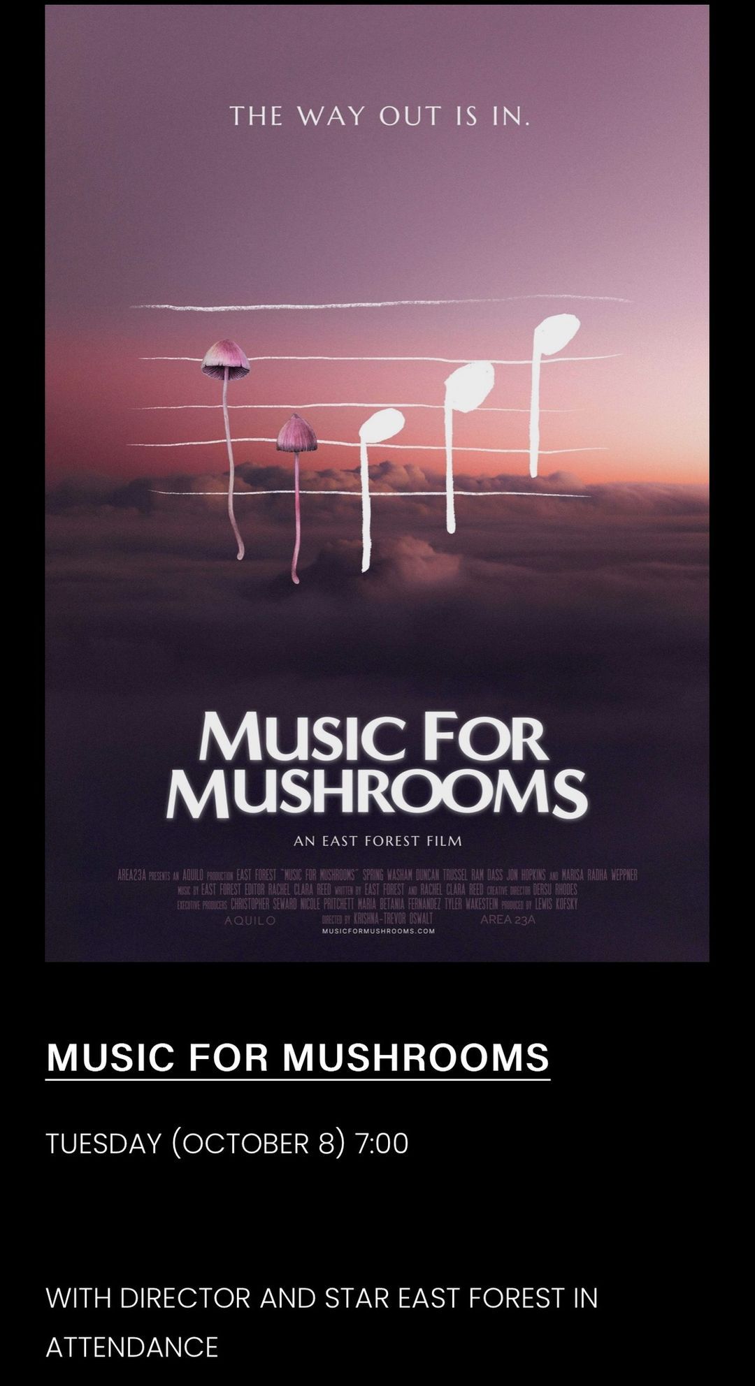 Encinitas Screening of Music For Mushrooms