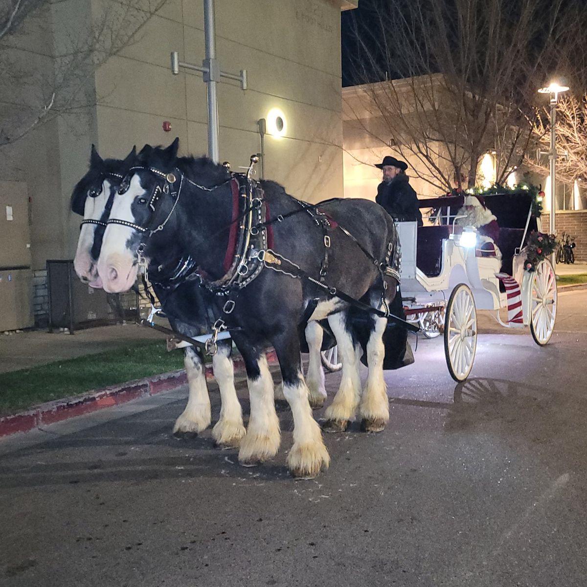 Holiday Carriage Rides - Downtown Ft Collins - FULLY BOOKED