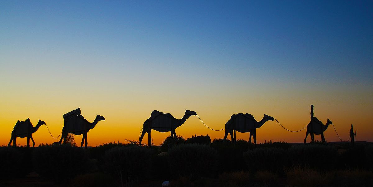 NEW Birdsville Camel Carnival