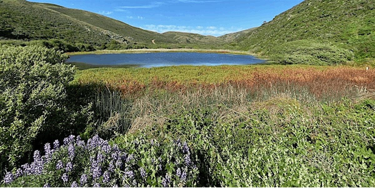 Tennessee Valley and Beach Hike