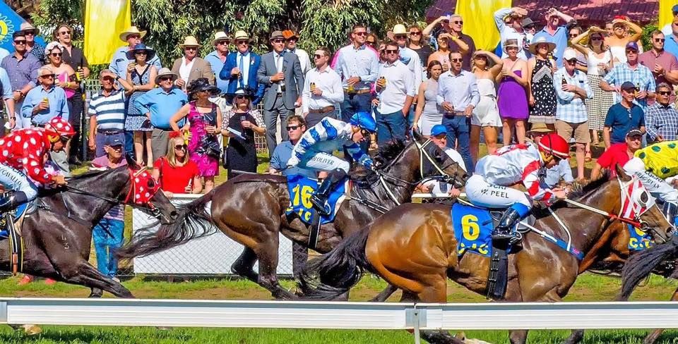 The Coonabarabran Bowling Club Cup Race Meeting WEEKEND!
