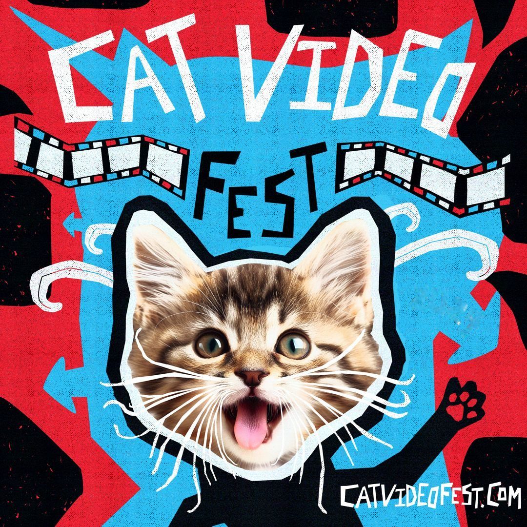 CAT VIDEO FEST!