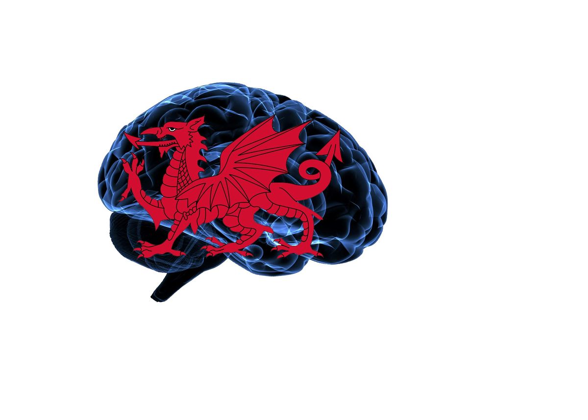 The South West Wales Brain Injury Conference 2024