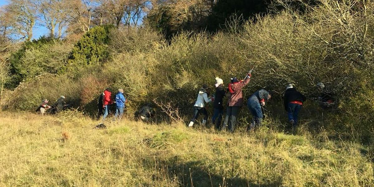 Green Thursday Chairborough Big Scrub Bash