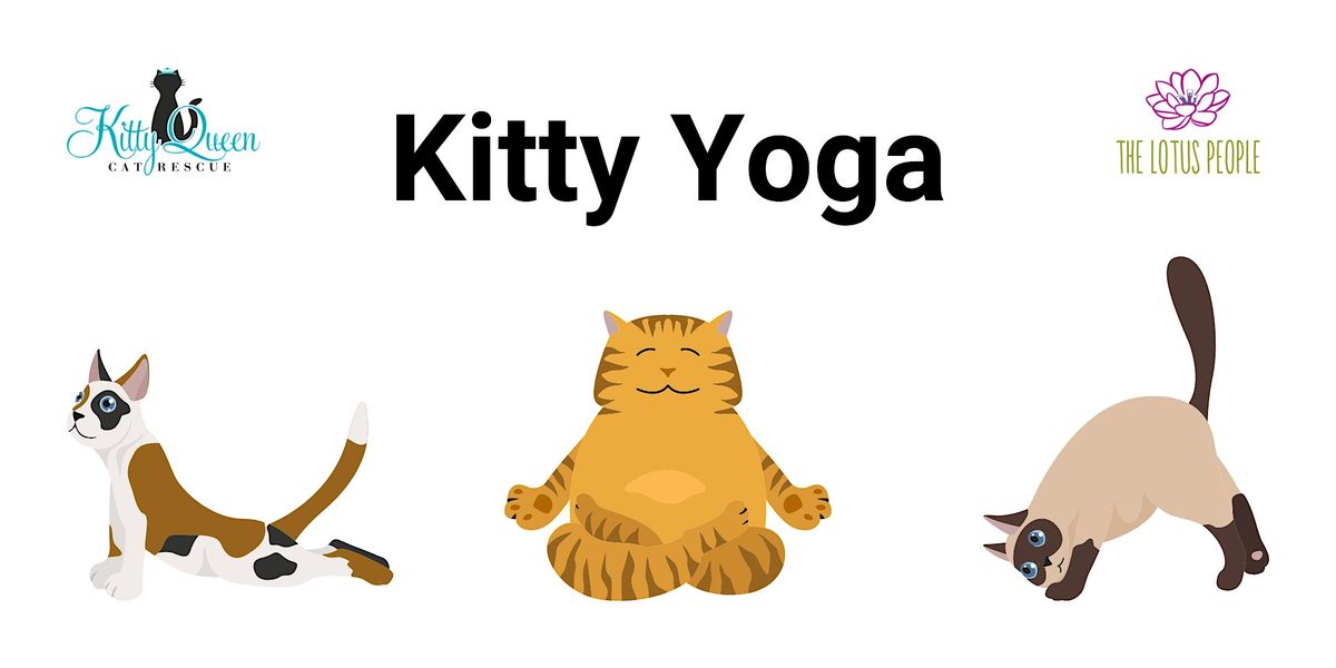 Kitty Yoga