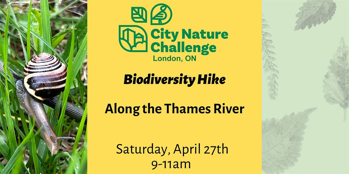 Biodiversity Hike along Thames River