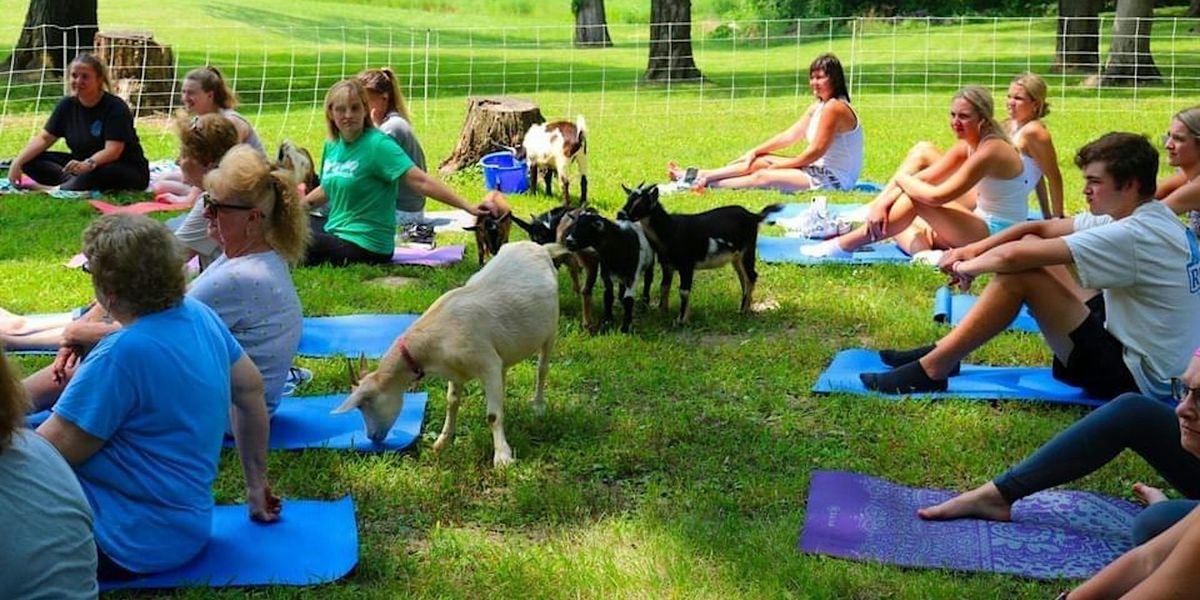 Goat Yoga at Alton Farmers Market