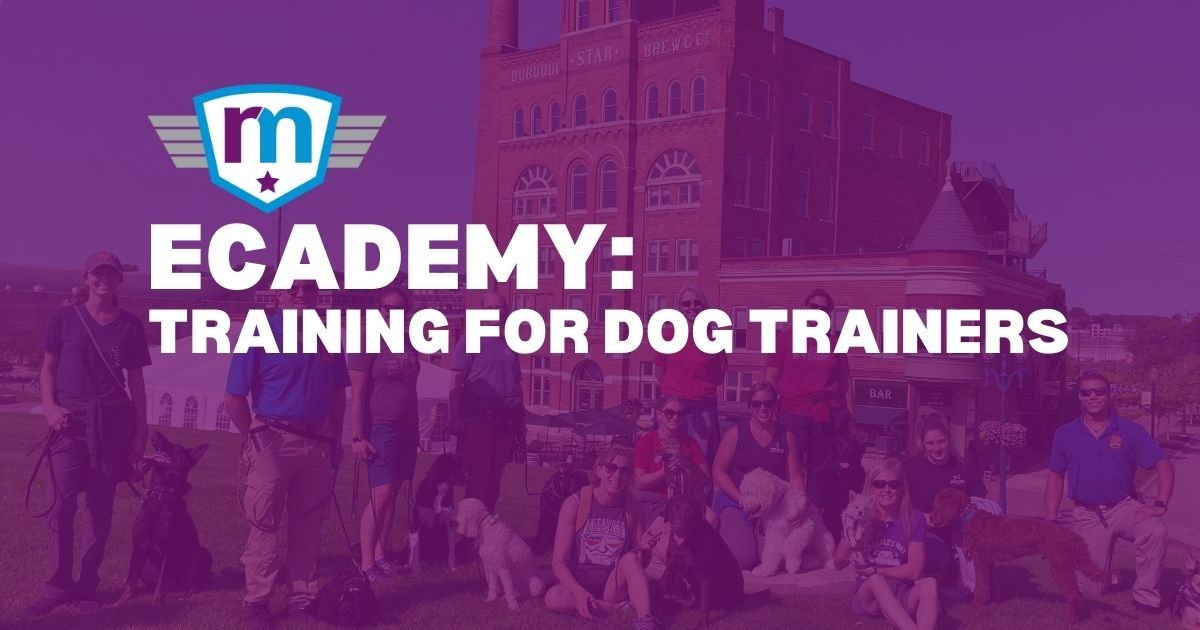 Ecademy Professional Trainers Program New Paltz, NY 