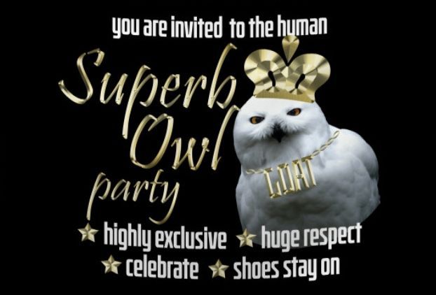 It's a BW Superb Owl Party! 