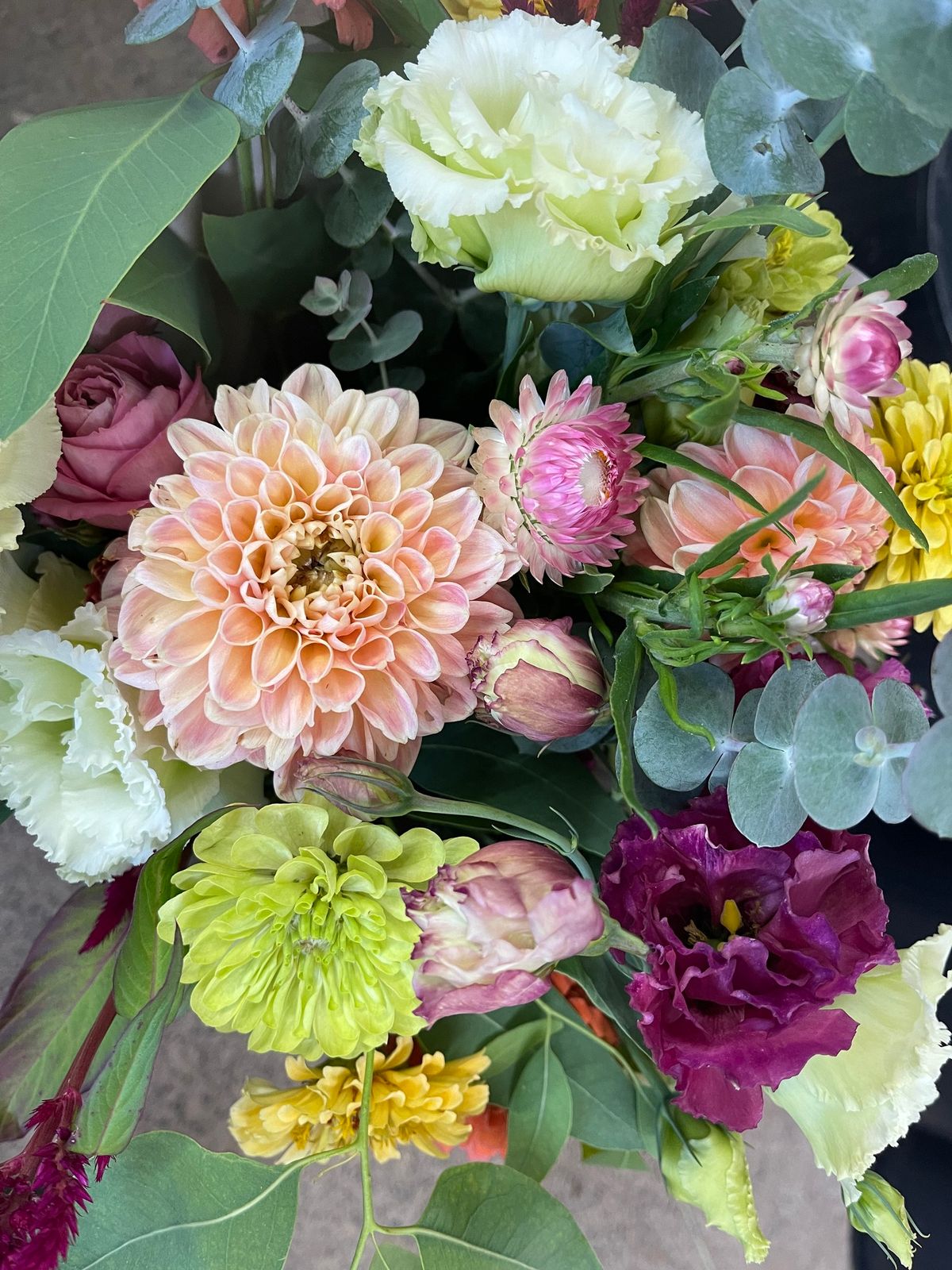 Carolina Blooms at the Danville Farmers Market