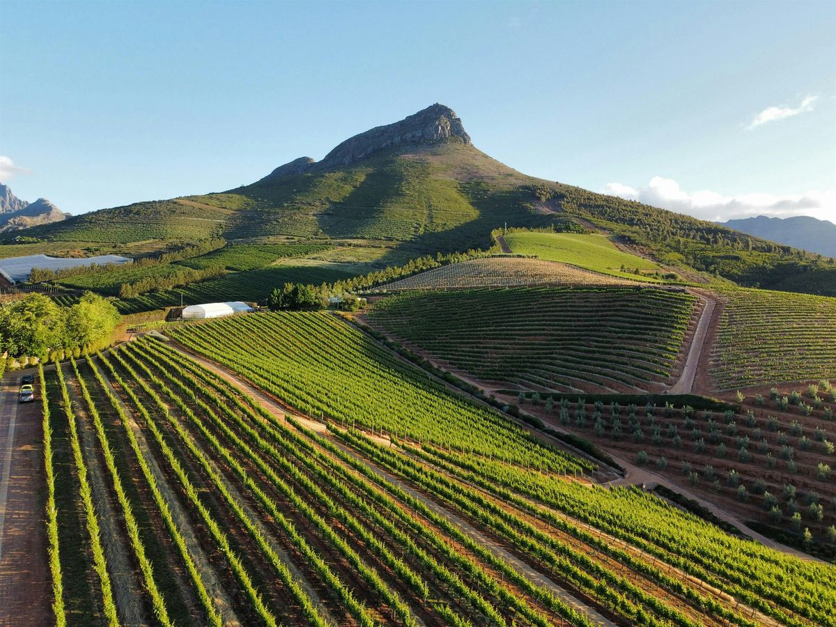 A Sommelier\u2019s Guide to Food and Wines of South Africa with Alexander Powell