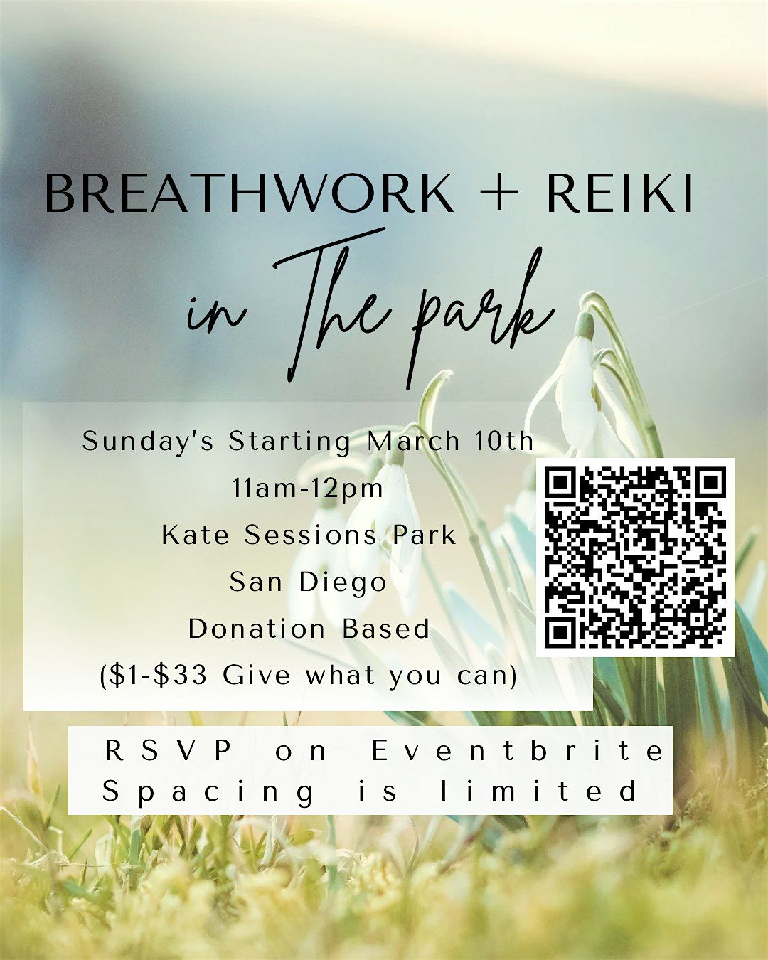 Breathwork + Reiki IN THE PARK :)
