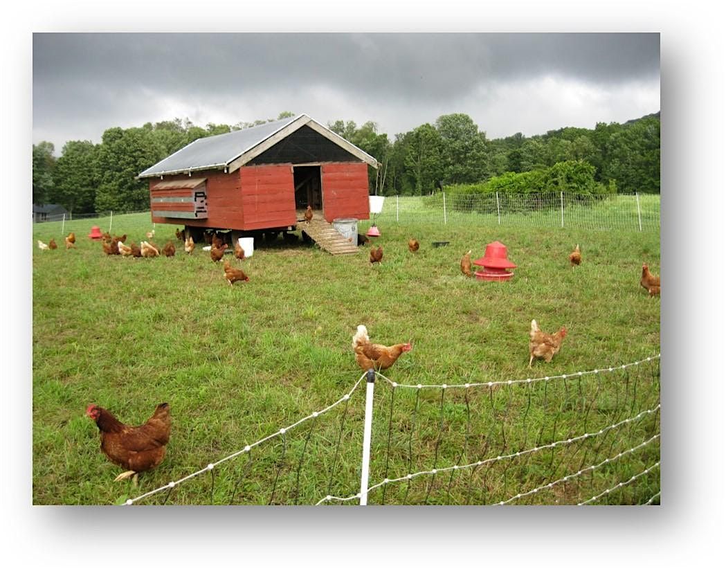 Living on a Few Acres - Backyard Poultry