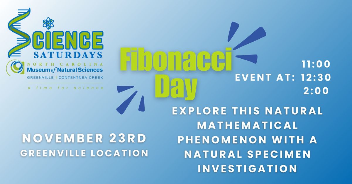 Science Saturday- Fibonacci Day 