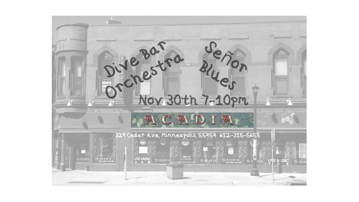 Se\u00f1or Blues & Dive Bar Orchestra