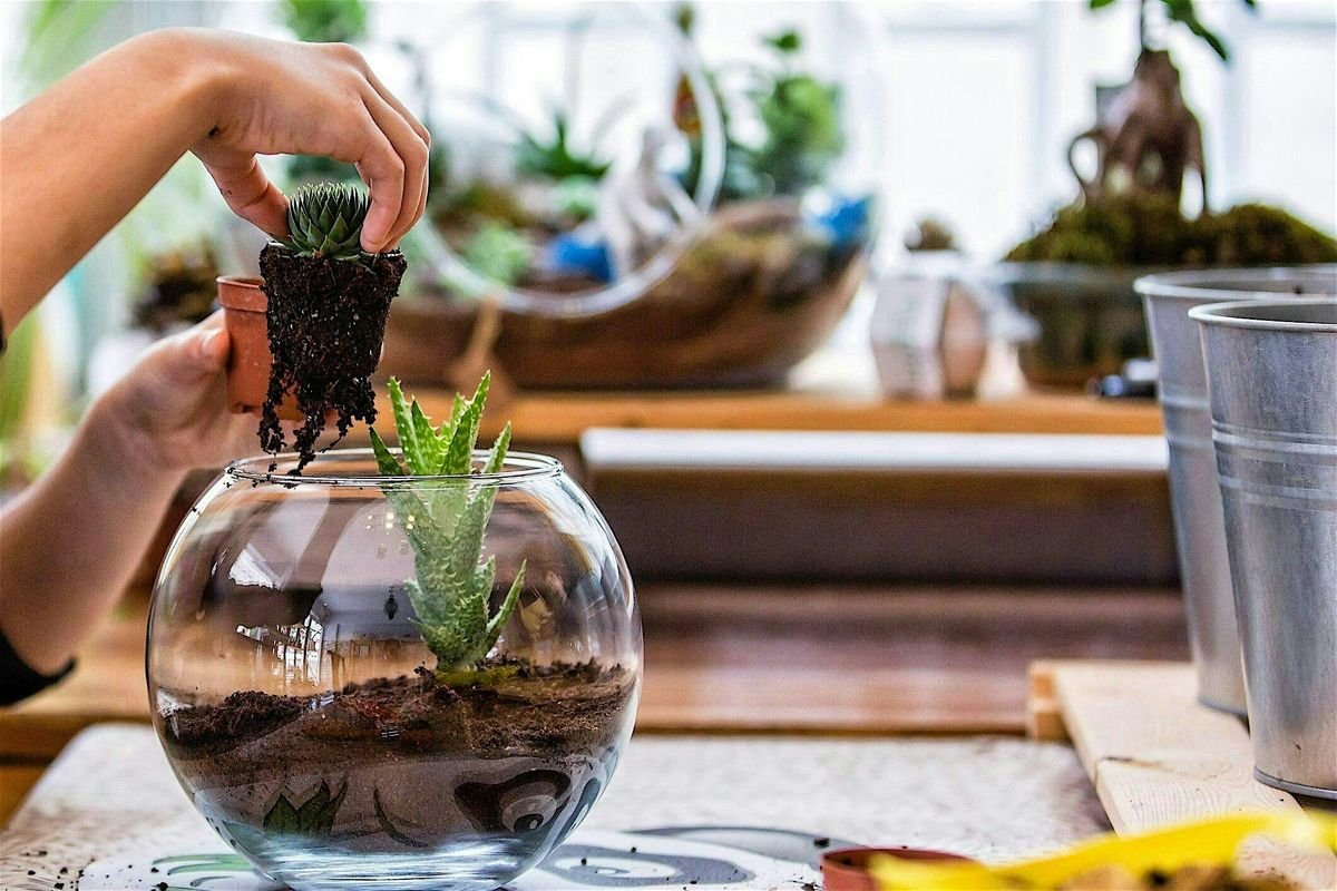 Hocus Pocus Terrarium Making