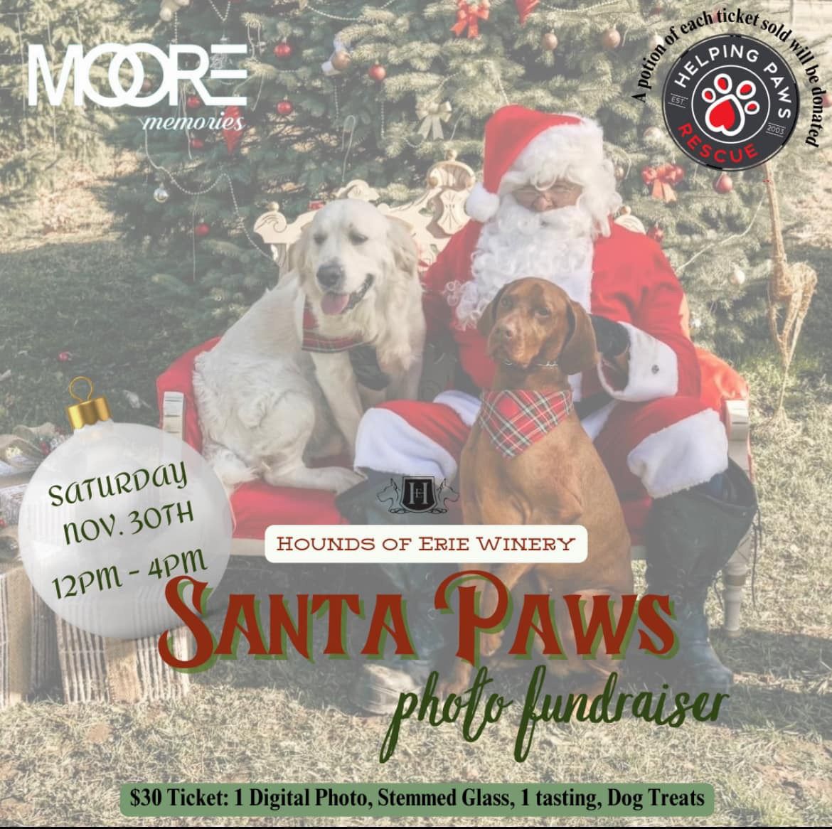 Santa Paws Photo Fundraiser 