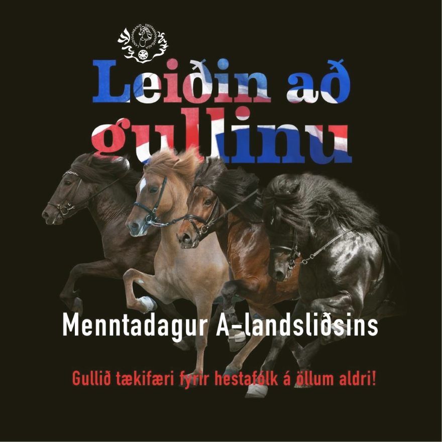 Menntadagur landsli\u00f0sins