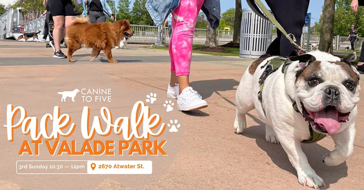 Riverfront Pack Walk with Canine To Five