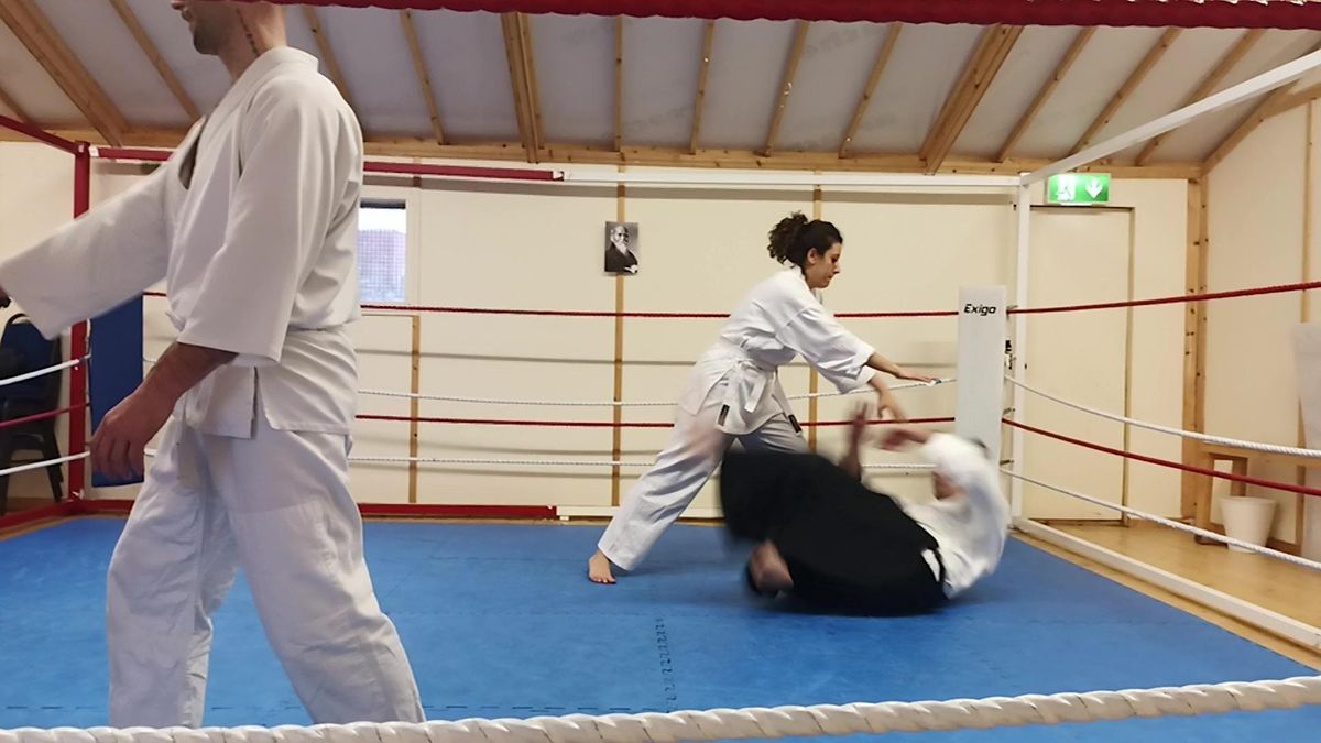 Trial Traditional Aikido Class