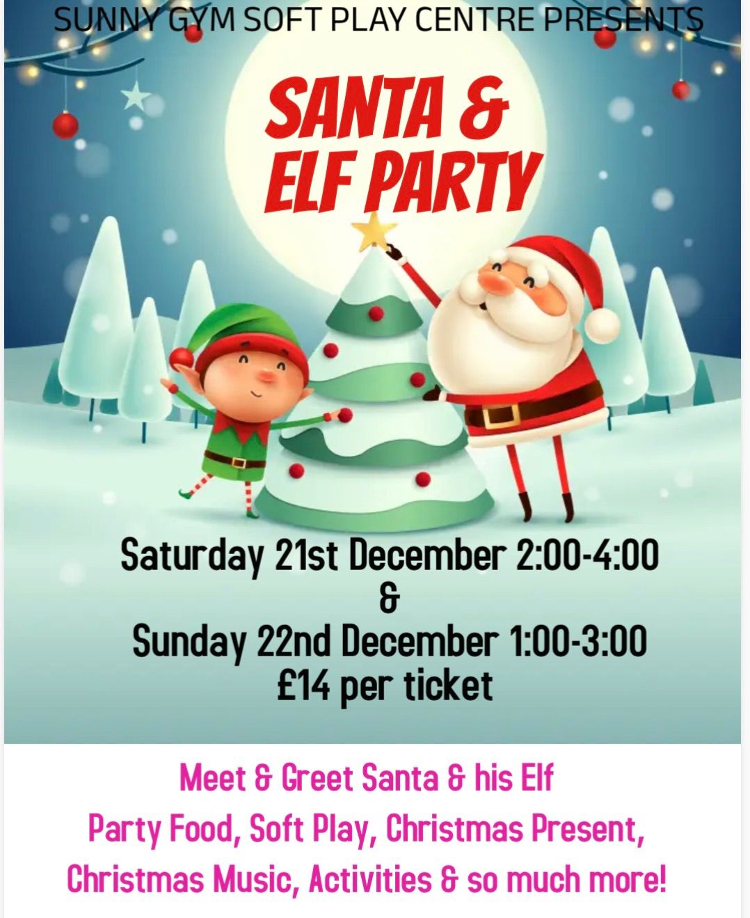 Santa & Elf Christmas Party 