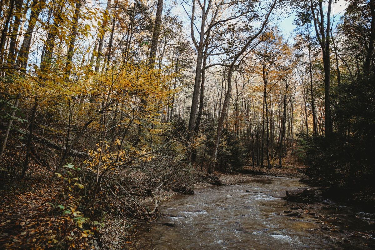 Guided Hike at Tucquan Glen & Pyfer Nature Preserves