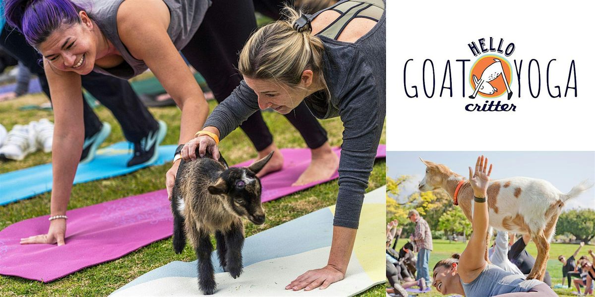 11:30 am Goat Yoga at the L.A. Arboretum