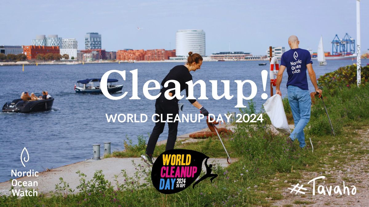 NOW x La Banchina World Cleanup Day 2024