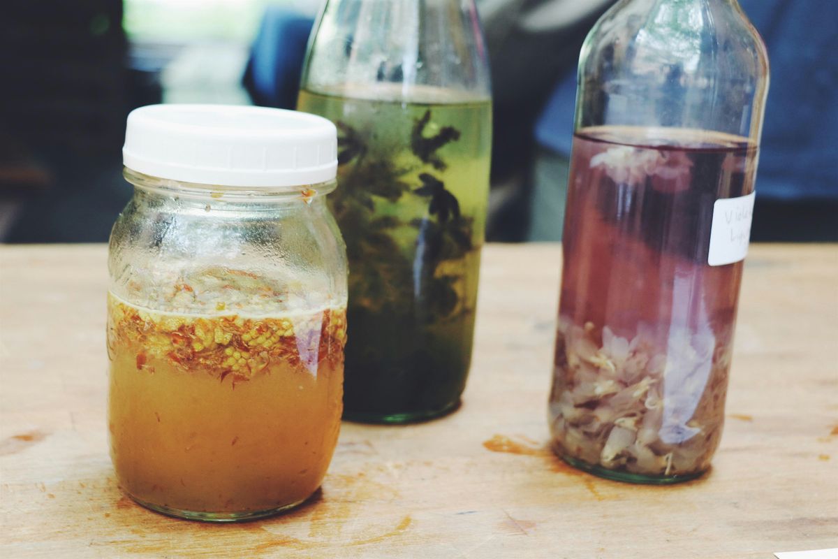 Nature's Spirits: A Herbal Liquor workshop