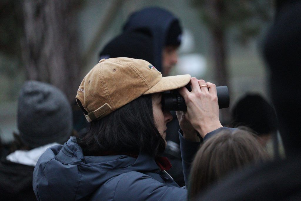 Birding Walk on October Big Day in High Park