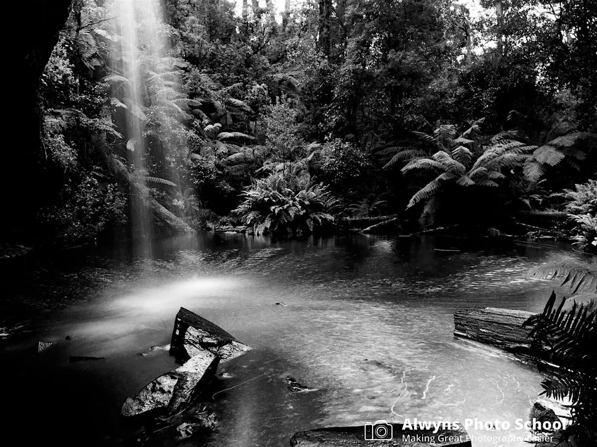 Black and White Photography Course-Digital Black and White Photography