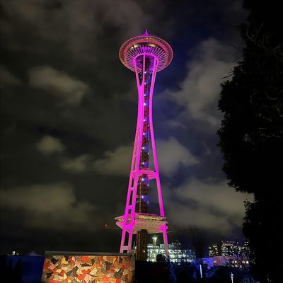 Seattle Cinderella Project