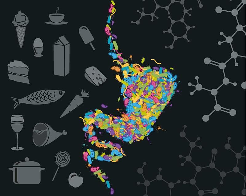Reshaping the Microbiome through Nutrition [Postponed]