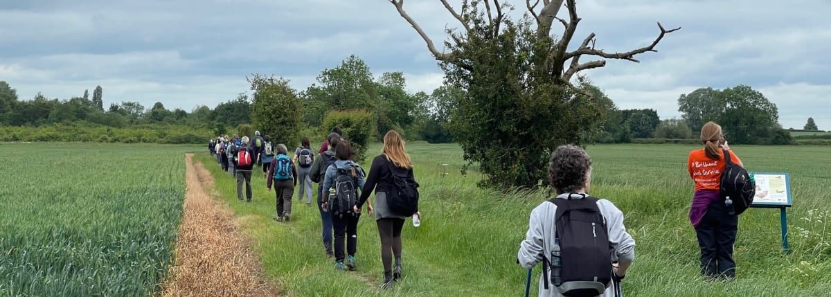 Walk the Ridge: Led Greensand Ridge Walk