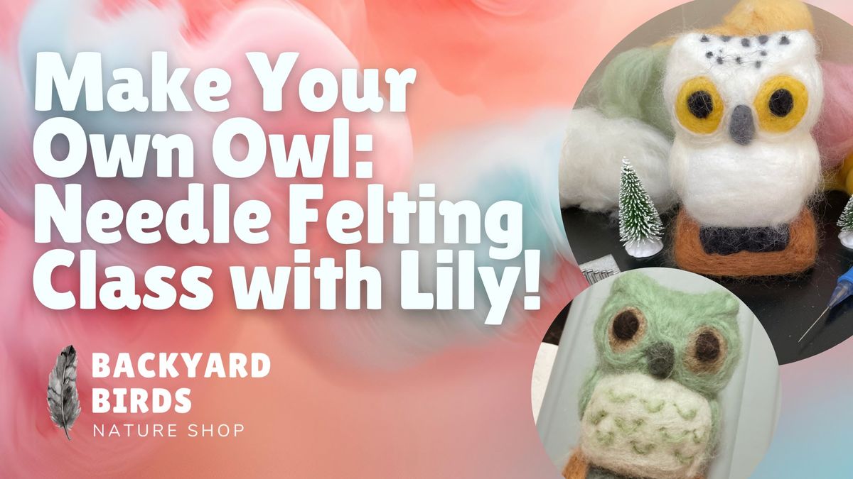 Make Your Own Owl: Needle Felting Class with Lily!