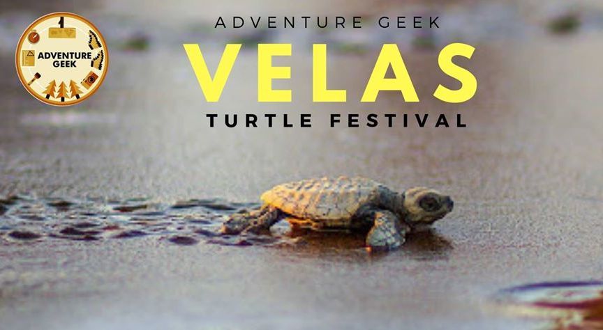 Velas Turtle Festival from Mumbai by Ac bus